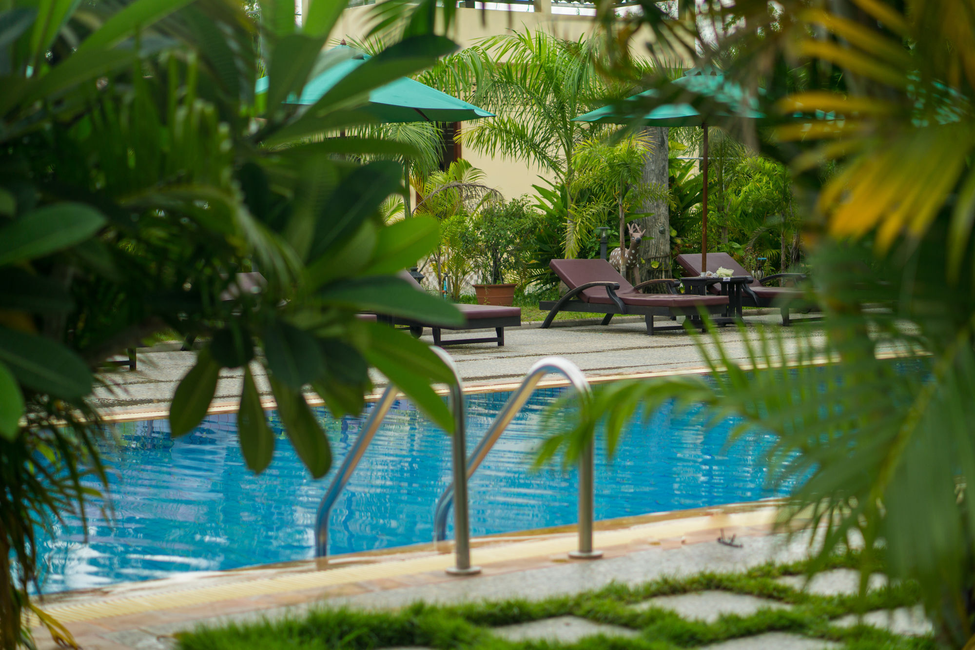 Angkor Magic Tree Hotel Siem Reap Exterior photo